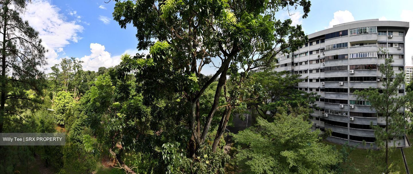 Sora (D22), Apartment #558214241